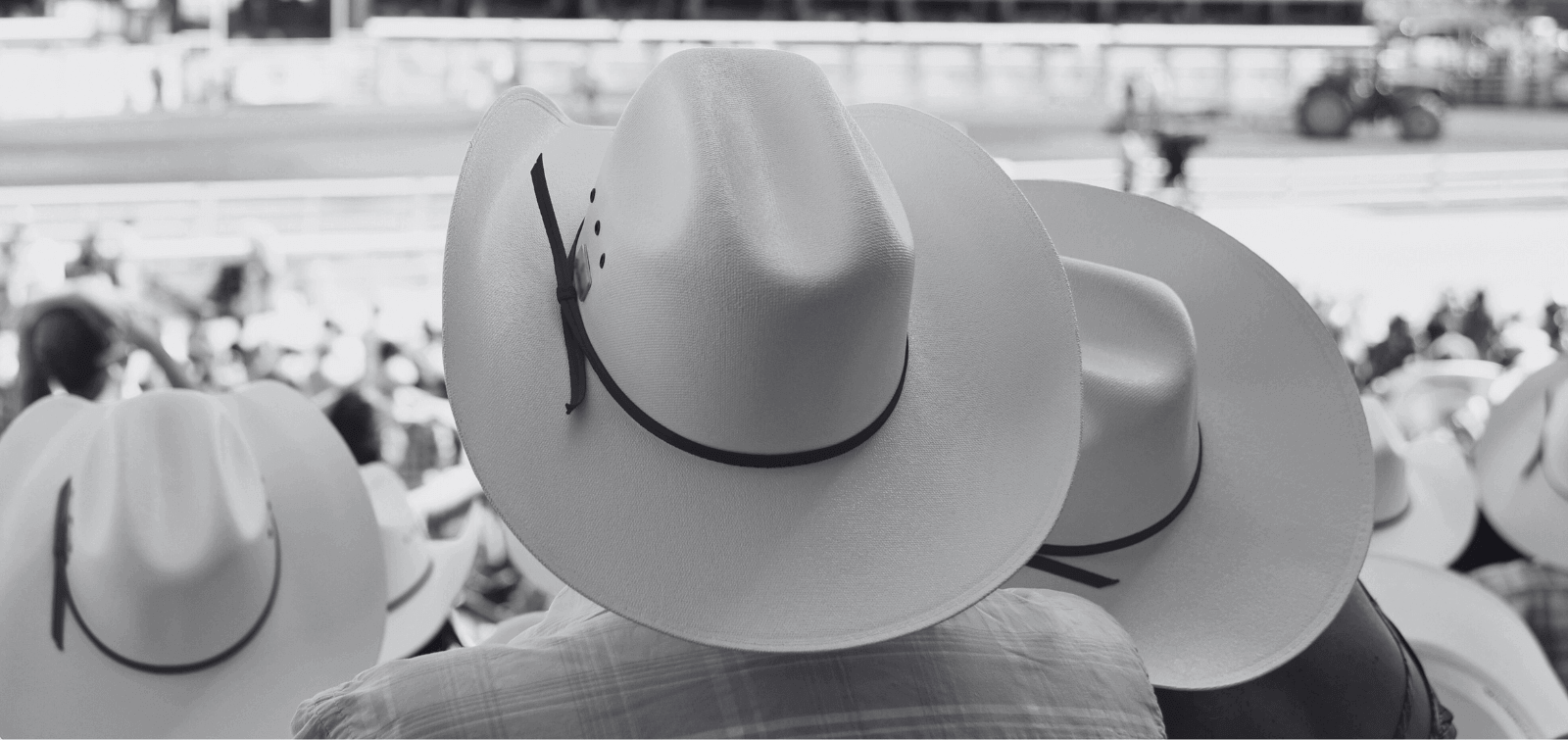 El Paso residents watch a rodeo